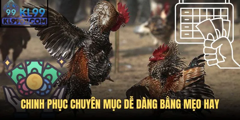 Chinh phục sảnh đá gà dễ dàng bằng những mẹo hay