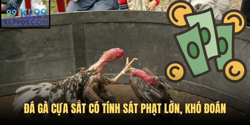 Ưu điểm nổi bật của chiến kê cựa sắt 