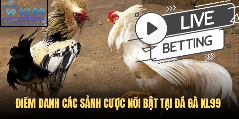 Điểm danh các sảnh cược nổi bật có tại đá gà KL99